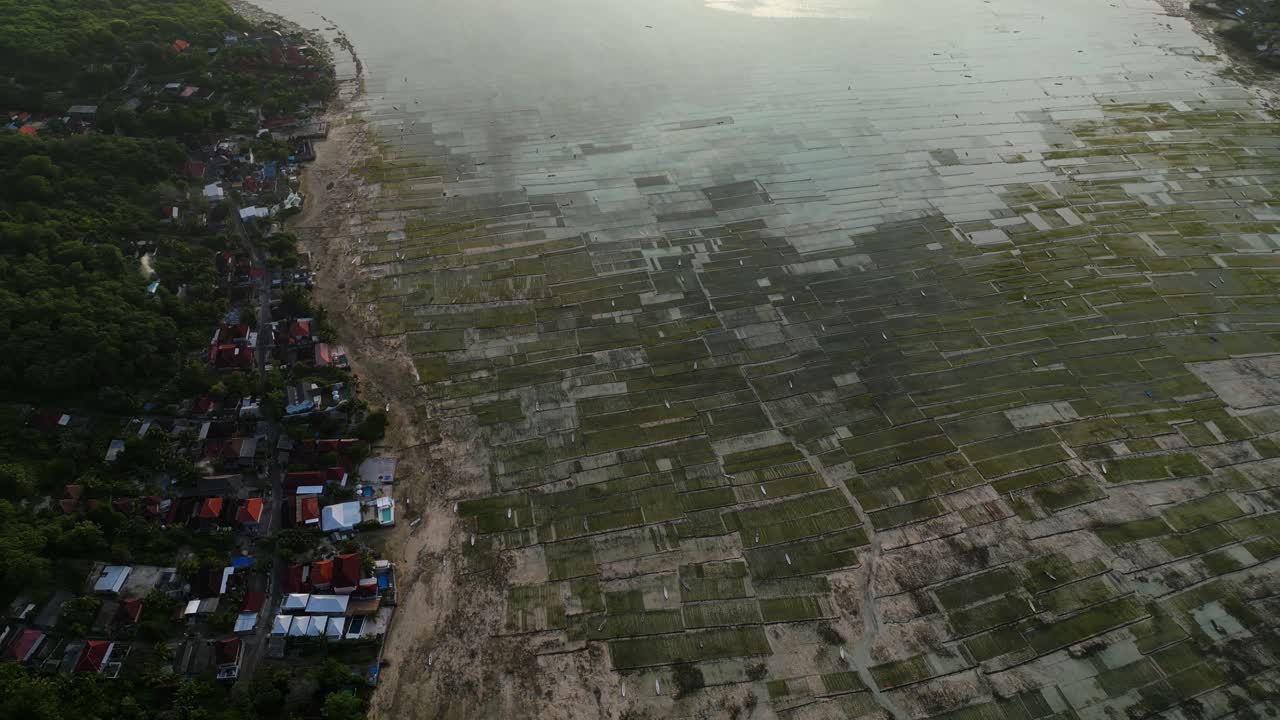 섬 에 있는 바다 모스 가 있는 수중 농경지