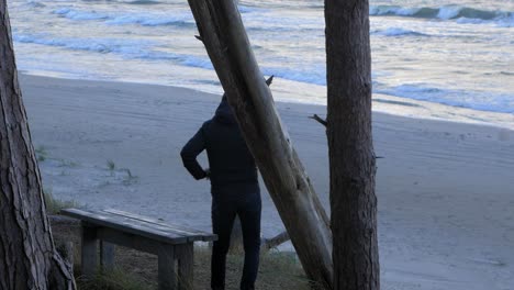 vista posterior de un hombre caucásico explorando el bosque costero nórdico, banco de madera gris en la playa, hombre sentado solo en el bosque de pinos costeros, día nublado, concepto de actividad saludable, plano medio distante