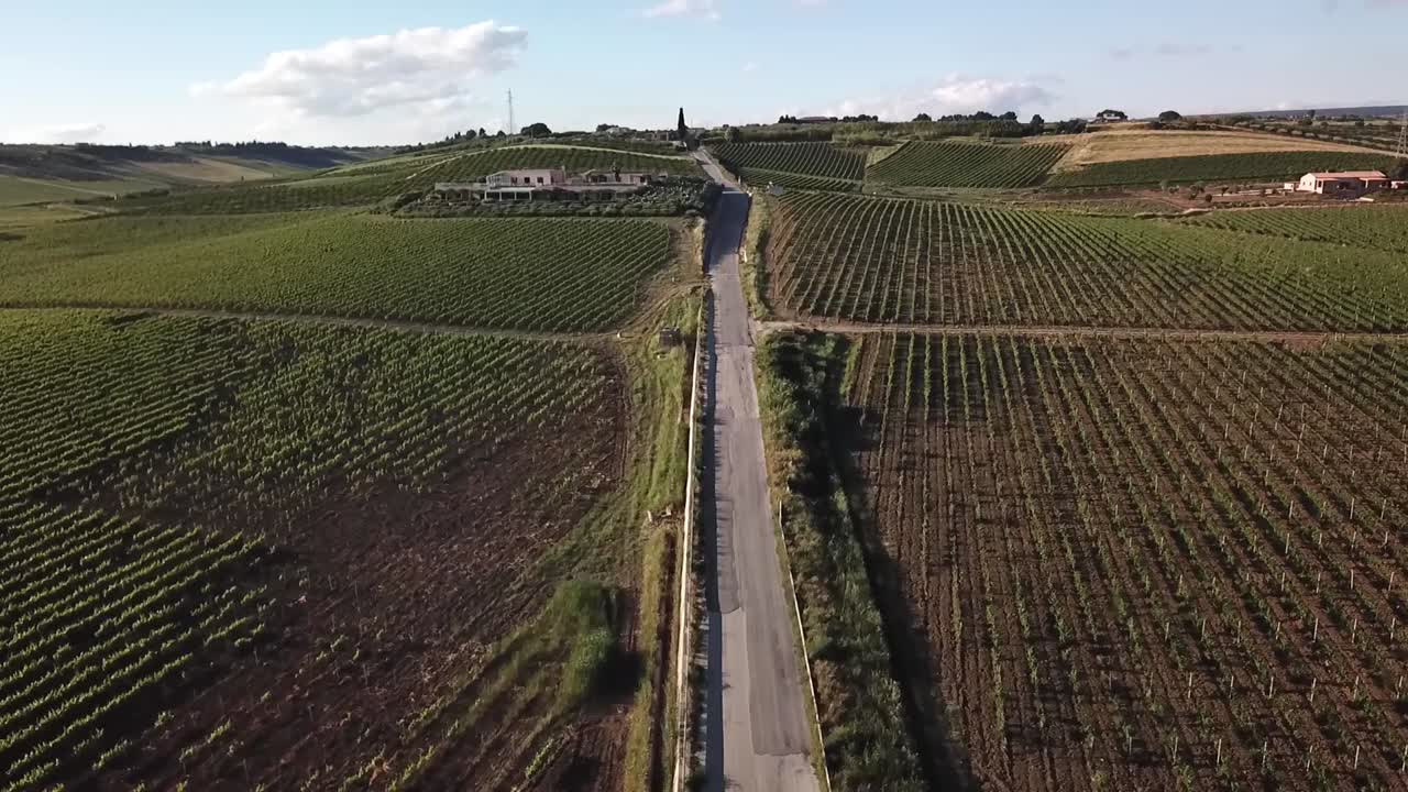Strada di campagna attraverso vigneti in Sicilia