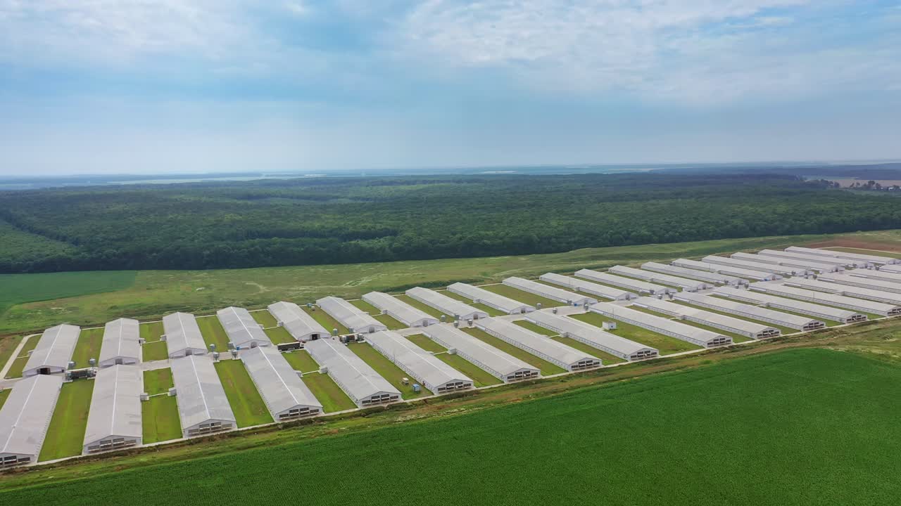 View of poultry houses in fields. Aerial view of poultry farm among fields