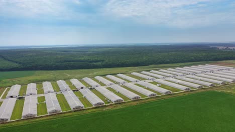 view of poultry houses in fields. aerial view of poultry farm among fields
