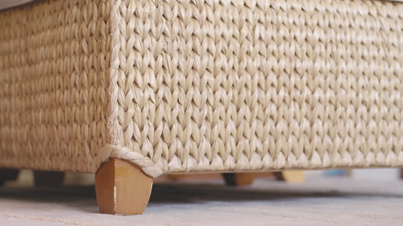 adorable cachorro entrando y saliendo del cuadro rápidamente mientras juega con el béisbol