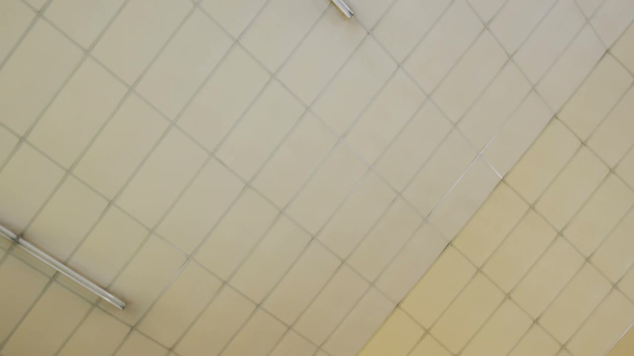 체조 운동 을 하는 체조 선수