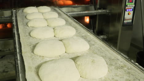 prepared bread dough on a tray at the bakery - ready for baking - close up, slow motion