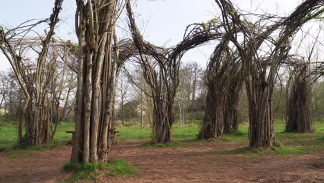 4k willow cathedral sculpture in taunton somerset with no leafs