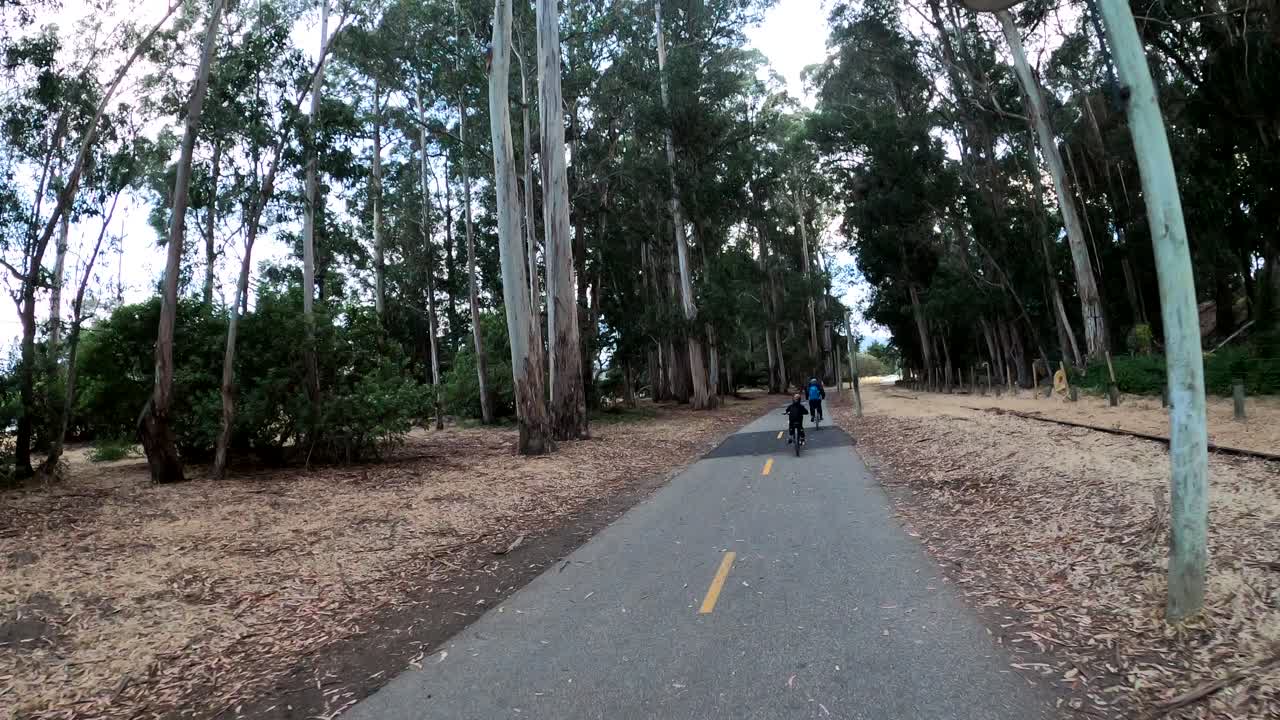 andar en bicicleta a través de un bosque de árboles en el sendero recreativo costero de la bahía de monterey