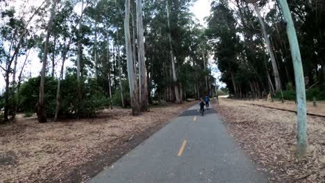 bike riding through a forest of trees on the monterey bay coastal recreational trail