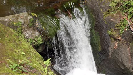 Strong-Flow-Of-Water-Flowing-Down-The-River-In-Parque-das-Frechas-In-Portugal---high-angle