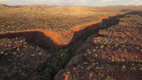 aerial establishing drone shot of beautiful dales gorge at karijini national park with vegetation during golden sunset