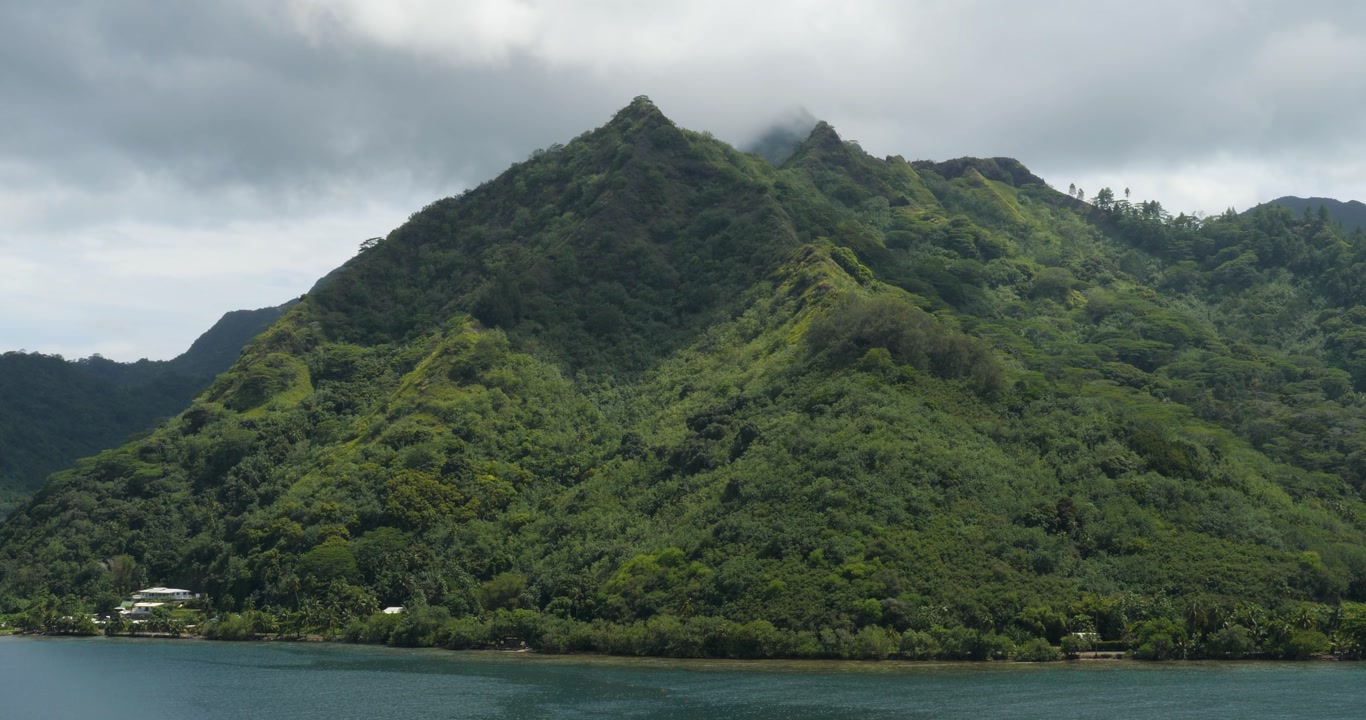 Luxuriant vegetation of Island of Moorea, French Polynesia, view from Opunohu Bay.
