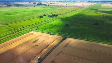 Luftaufnahmen-Einer-Naturlandschaft-Mit-Reifen-Weizenfeldern-Im-Sommerfeld