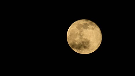 full moon in the dark february winter night sky in overijssel, the netherlands. the moon is traveling from left to right.