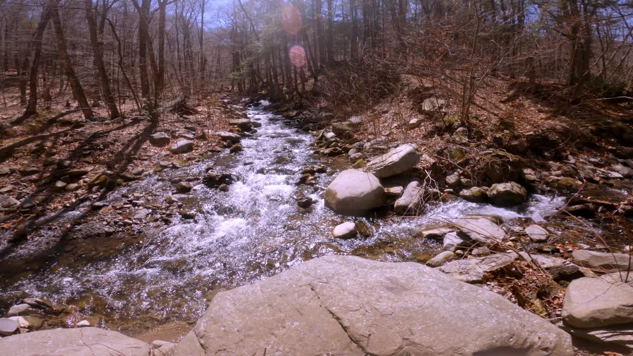 En smuk, forgrenet skovbæk i det tidlige forår efter snesmeltning i Appalacherne
