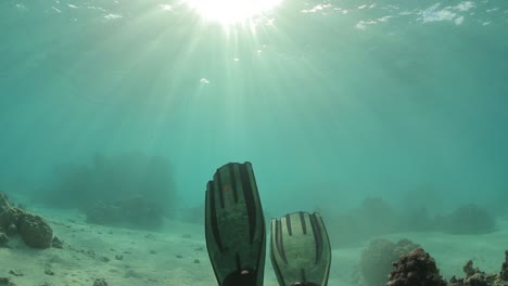 underwater sunlight and coral reef
