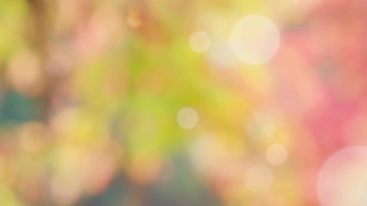 Abstract spring background with bokeh