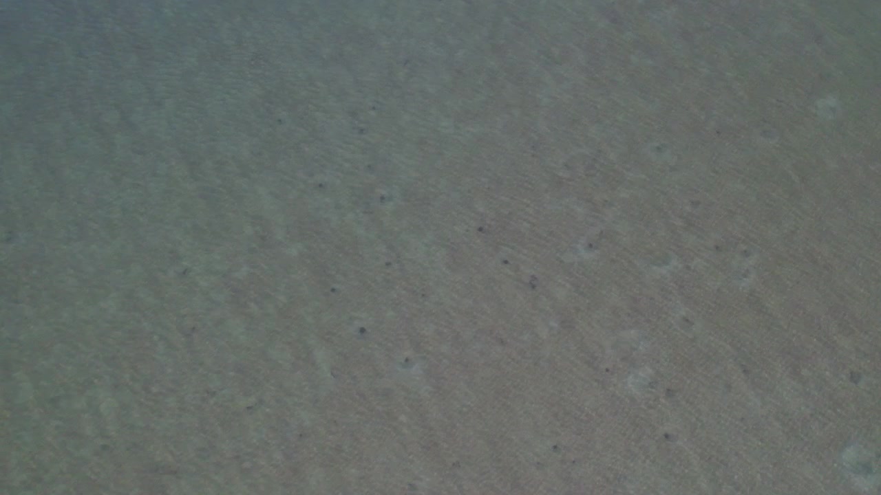 Aerial looking down at a shallow clear water sandbar in the Gulf of Mexico
