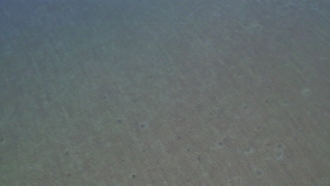 aerial looking down at a shallow clear water sandbar in the gulf of mexico