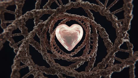an intricate spiral of dna surrounds a glowing heart emblem, representing the beautiful connection between genetics and emotion in a captivating visual journey