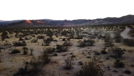 aerial flyover of rugged vegetation and desert terrain at sunset, joshua tree national park