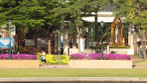 people enjoying a sunny day in the park