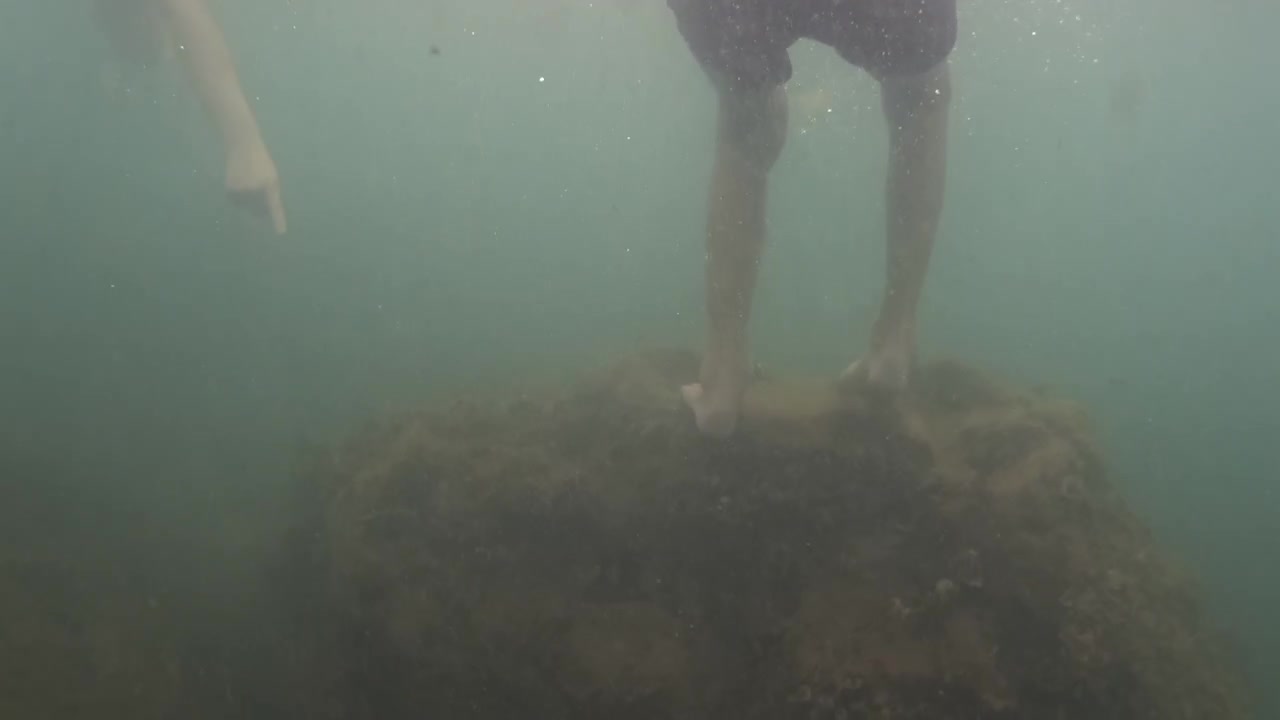 Person dykker ned i klart grønt vand med bobler, nyder sommerferieaktiviteter og frihed i havet