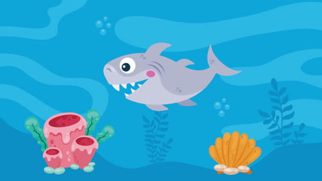 cute shark swiming sealife animation