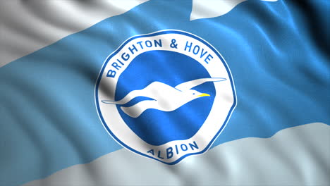 flag of brighton & hove albion