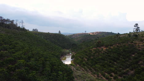 Beautiful-tropical-landscape-with-coffee-plantation-on-hillside,-Vietnam