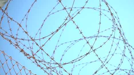 barbed-wire-israel-ramparts-jerusalem