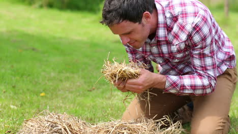 smiling man touching and smelling straw