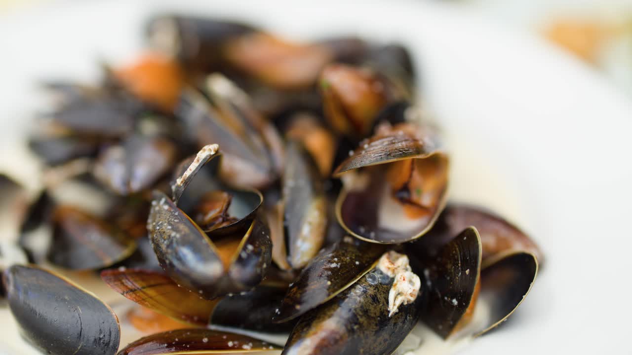 Steamed mussels arranged on a plate, shallow depth of field, natural daylight, slight camera movement