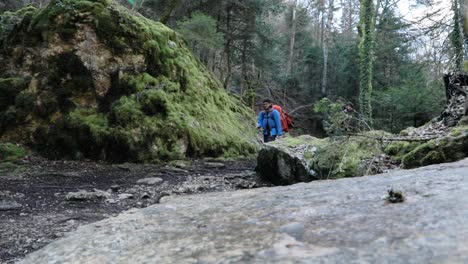 slow motion, male millennial backpacker hiking through mossy green forest alone