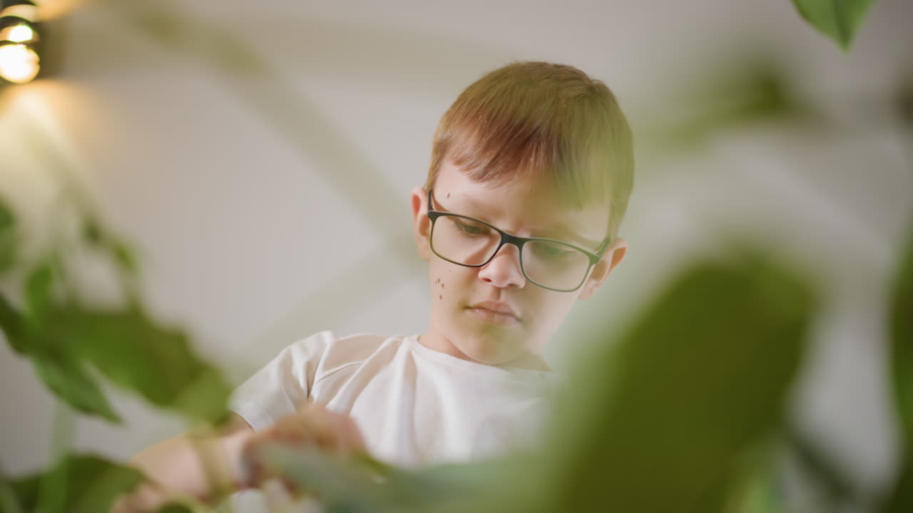 Boy with glasses cleaning green houseplant leaves indoors, focused on plant care and maintenance, learning responsibility, nurturing healthy foliage, engaging in gardening activity, promoting growth