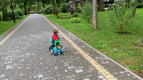beautiful smiling kid riding toy car cheerfully. happy child is on the walk in autumn.