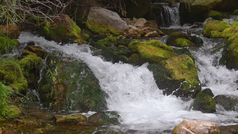 Arroyo-Salpicando-Rocas-Cubiertas-De-Musgo-En-El-Río