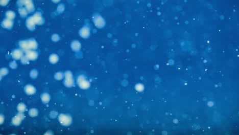 heavy snowflakes swirl slowly against an ultra-blue background, calm slow motion