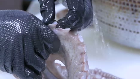 a chef cleans octopus. raw seafood