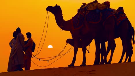 Cameleers,-camel-Drivers-at-sunset.-Thar-desert-on-sunset-Jaisalmer,-Rajasthan,-India.