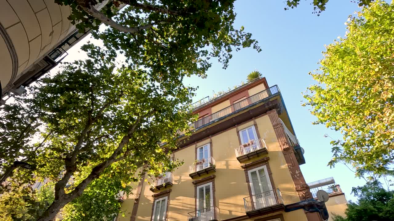 은 파란 하늘 아래의 건물과 나무