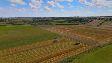 two combine harvesters working