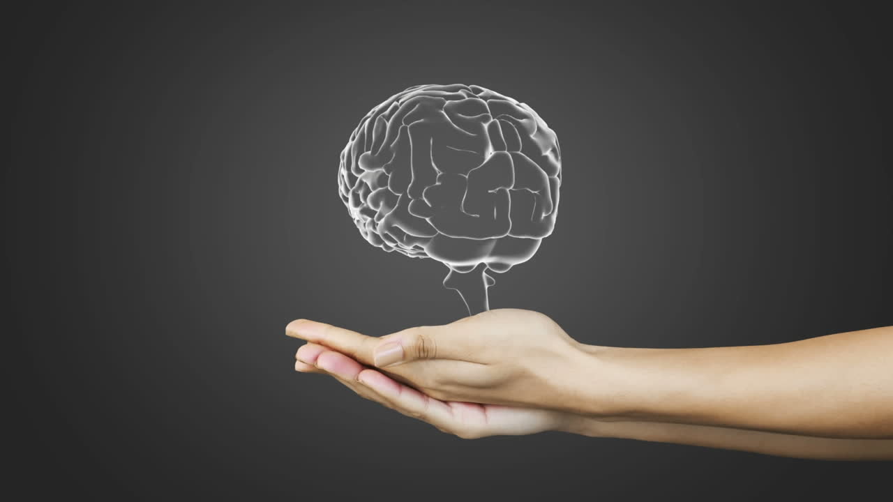 Animation of caucasian woman hands with human brain on grey background