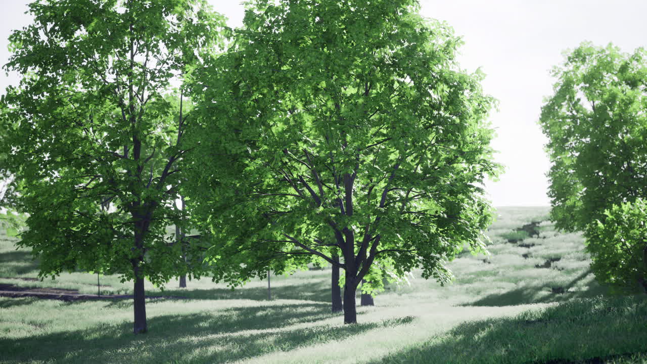 Lush greenery in a serene landscape during daylight in a tranquil setting