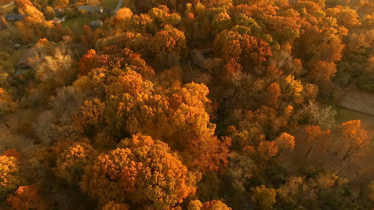 aerial shot starting on autumn forest revealing Westerville, Ohio
