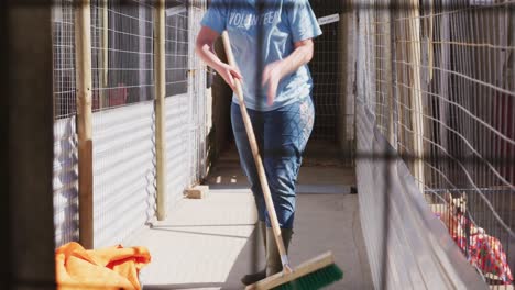 caucasian volunteer woman in a dog shelter