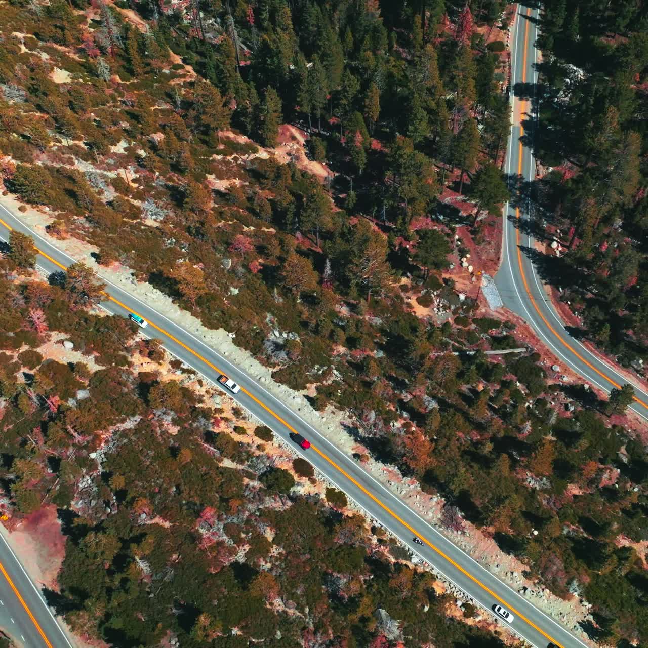 Automobiles slowly moving by the wavy road through the forest. Sunny day footage over the highway at lake Tahoe shore