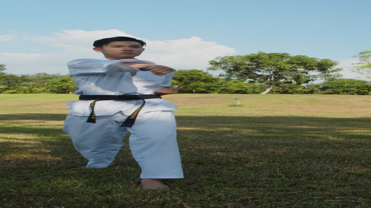 Athlete in Taekwondo Dobok Performing Punches and Kicks