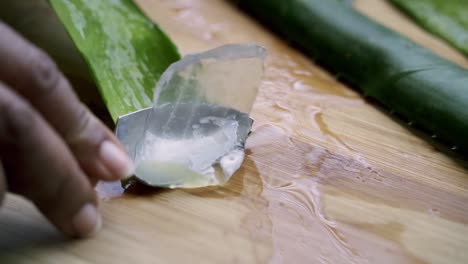 scooping out gel from aloe vera leaf using serrated spoon