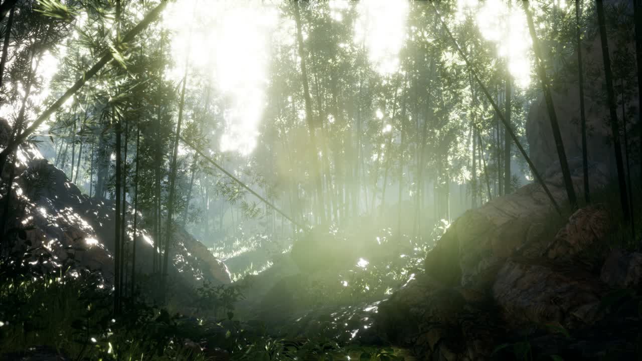 돌이 있는 연못의 연안 근처에 있는 울창한 초록색 대나무 잎.