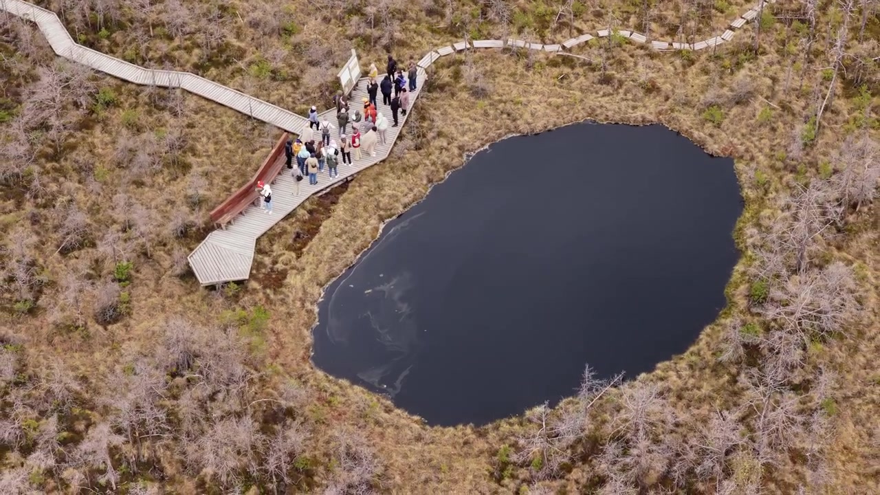 Vista aerea con drone di una pozza ovale in torbiera con una passerella e visitatori, Tinovul Mohos, Harghita, Romania