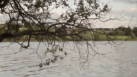 Fast-flowing-lake-water-waves-and-ripples-landscape-through-tree-branches